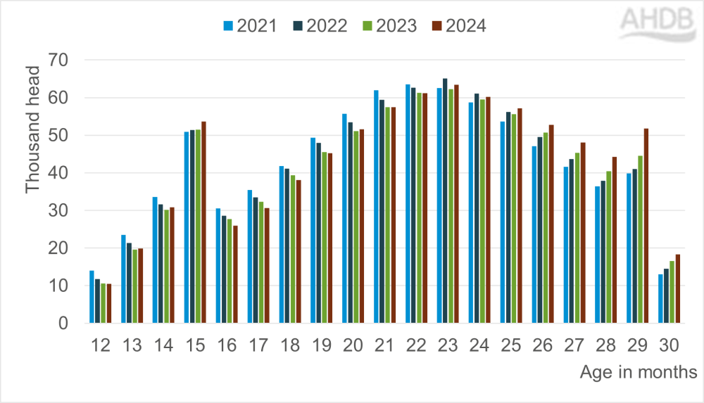 graph age distribution of male beef cattle slaughter